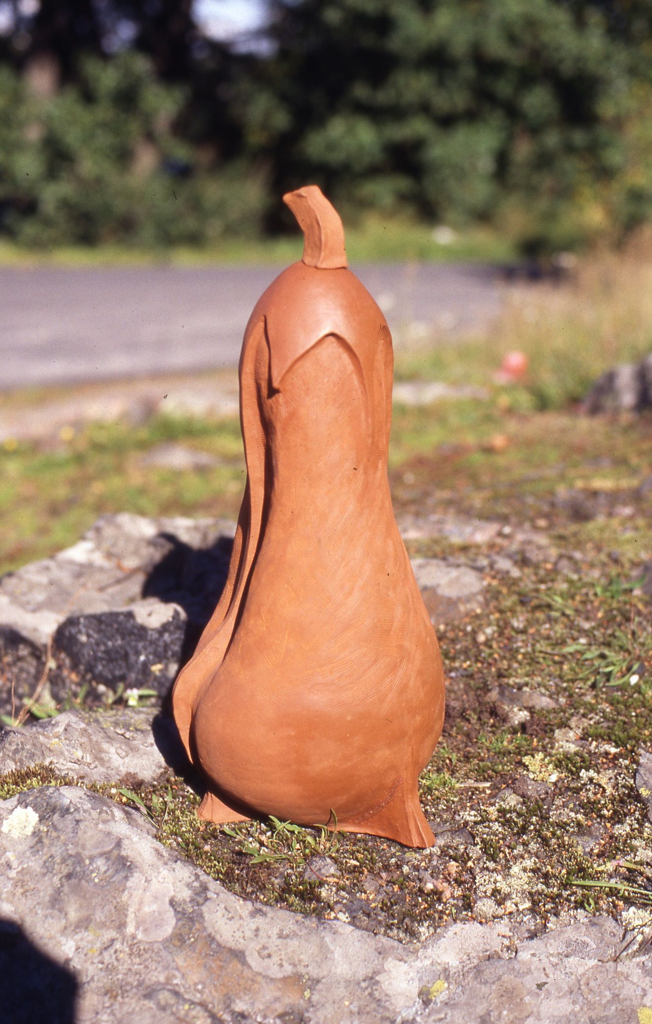 KOISO by Risto Sorja